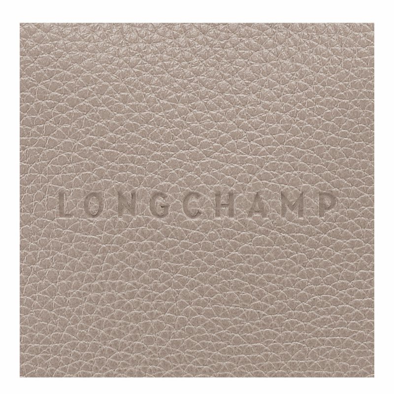 Torba Crossbody Longchamp Le FOULONNÉ M Damskie Szare Polska | 10140021P55