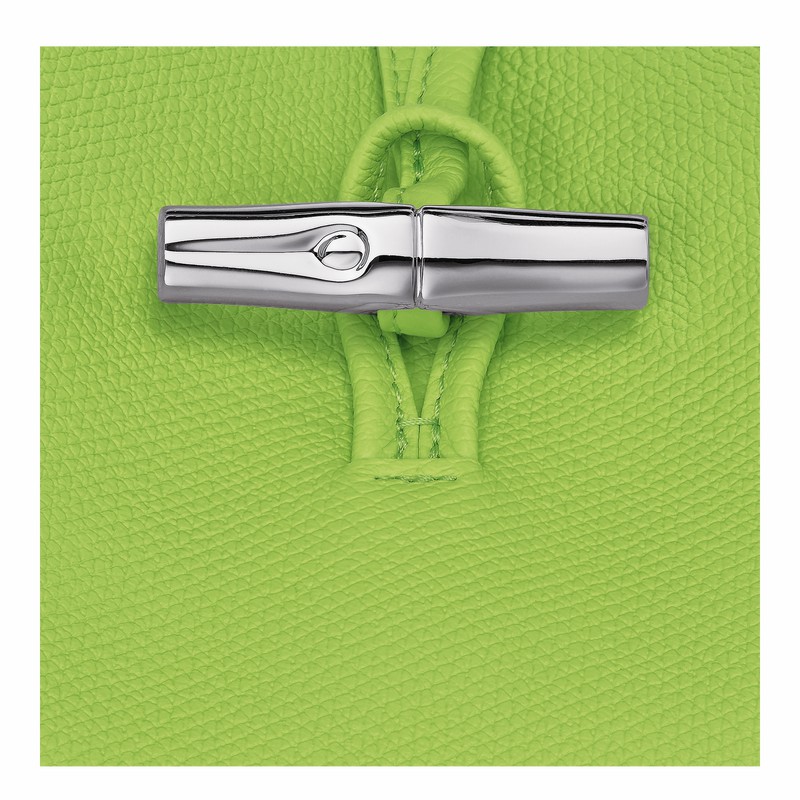 Torba na Ramię Longchamp Le Roseau M Damskie Zielone Polska | 10281HFP355