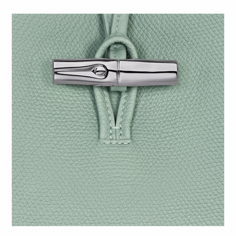 Torba na Ramię Longchamp Le Roseau M Damskie Celadon Polska | 10281HFP282