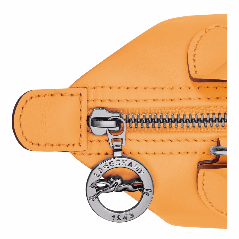 Torebka Longchamp Le Pliage Xtra XS Damskie Morelowe Polska | L1500987222